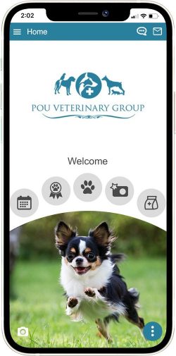 Pou Veterinary Group App