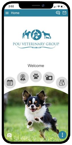 pou veterinary group app