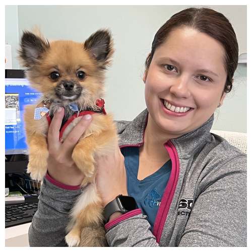 About Pou Veterinary Group Vet In Miami, FL 33176