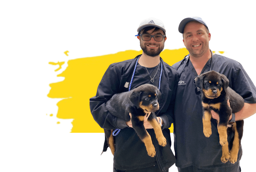 two men holding puppies posing for a picture