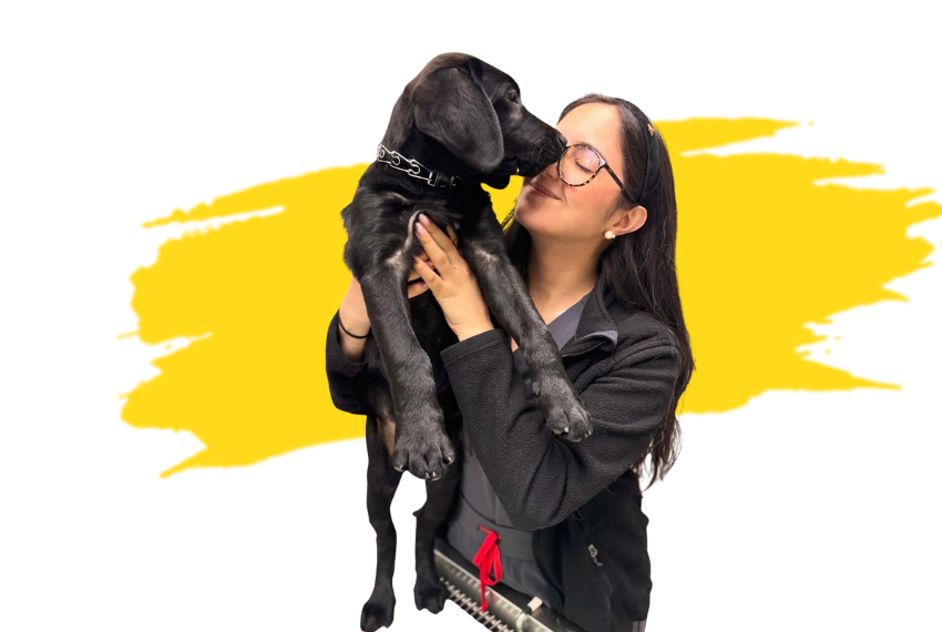 A women holding two dogs